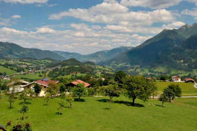 Bio-Bauernhof Reitmayrgut Goldegg im Pongau Exterior foto