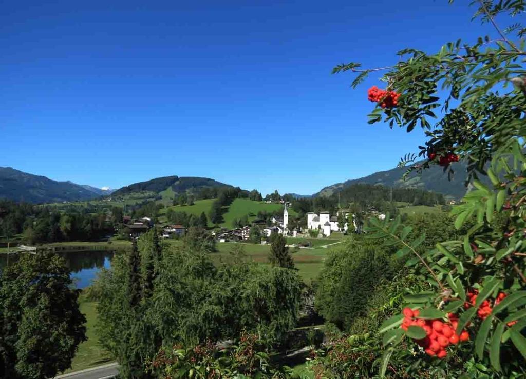 Bio-Bauernhof Reitmayrgut Goldegg im Pongau Exterior foto